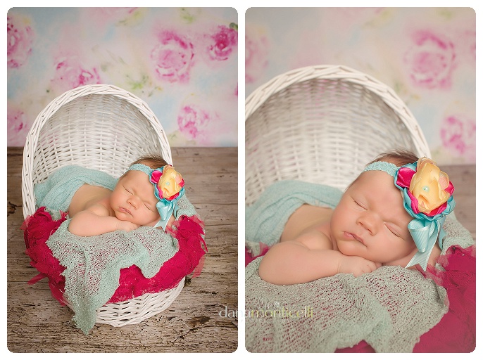 pittsburgh newborn photographer048_