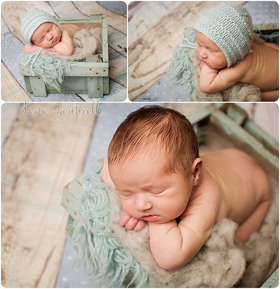 south hills infant photographer (6)