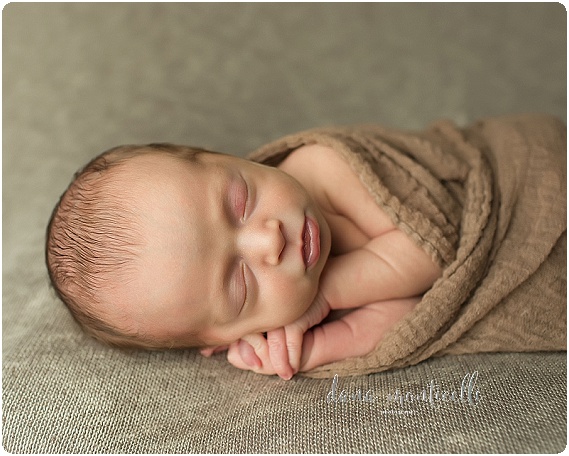 south hills baby photographer030_
