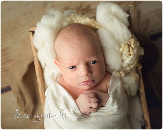 mon valley newborn photographer (4)