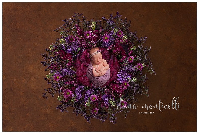 bestpittsburghnewbornphotographer012