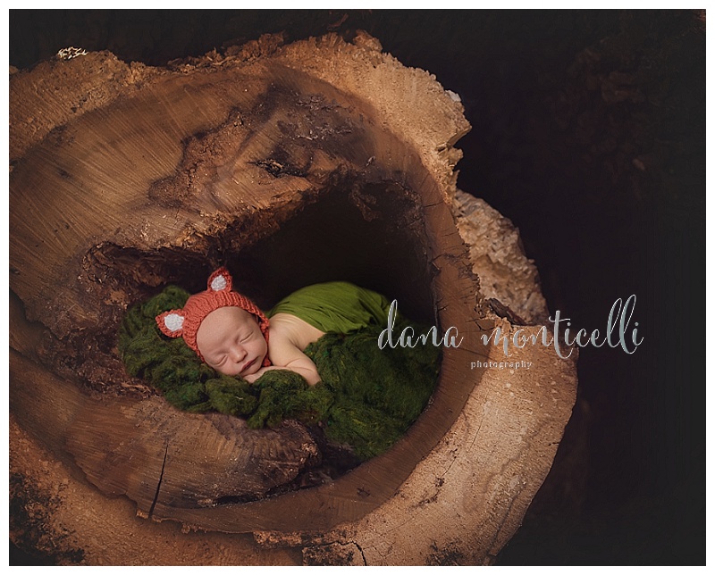 pittsburghnewbornphotographer001 (1)
