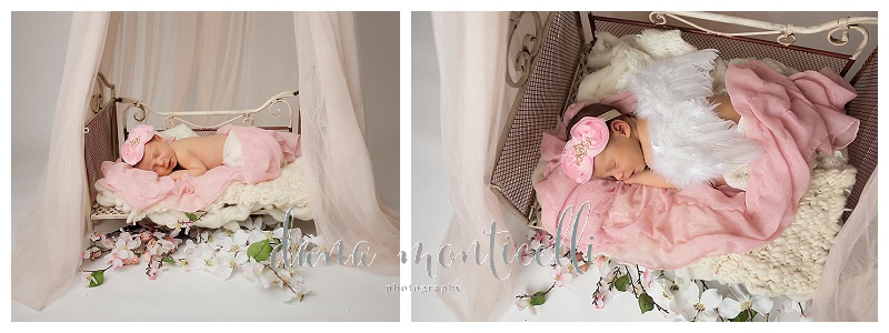 bethel park newborn photographer (6)