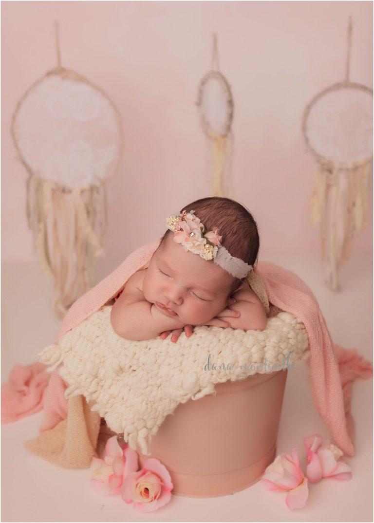 pittsburgh family photographer